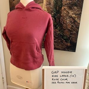 Gap Hoodie
